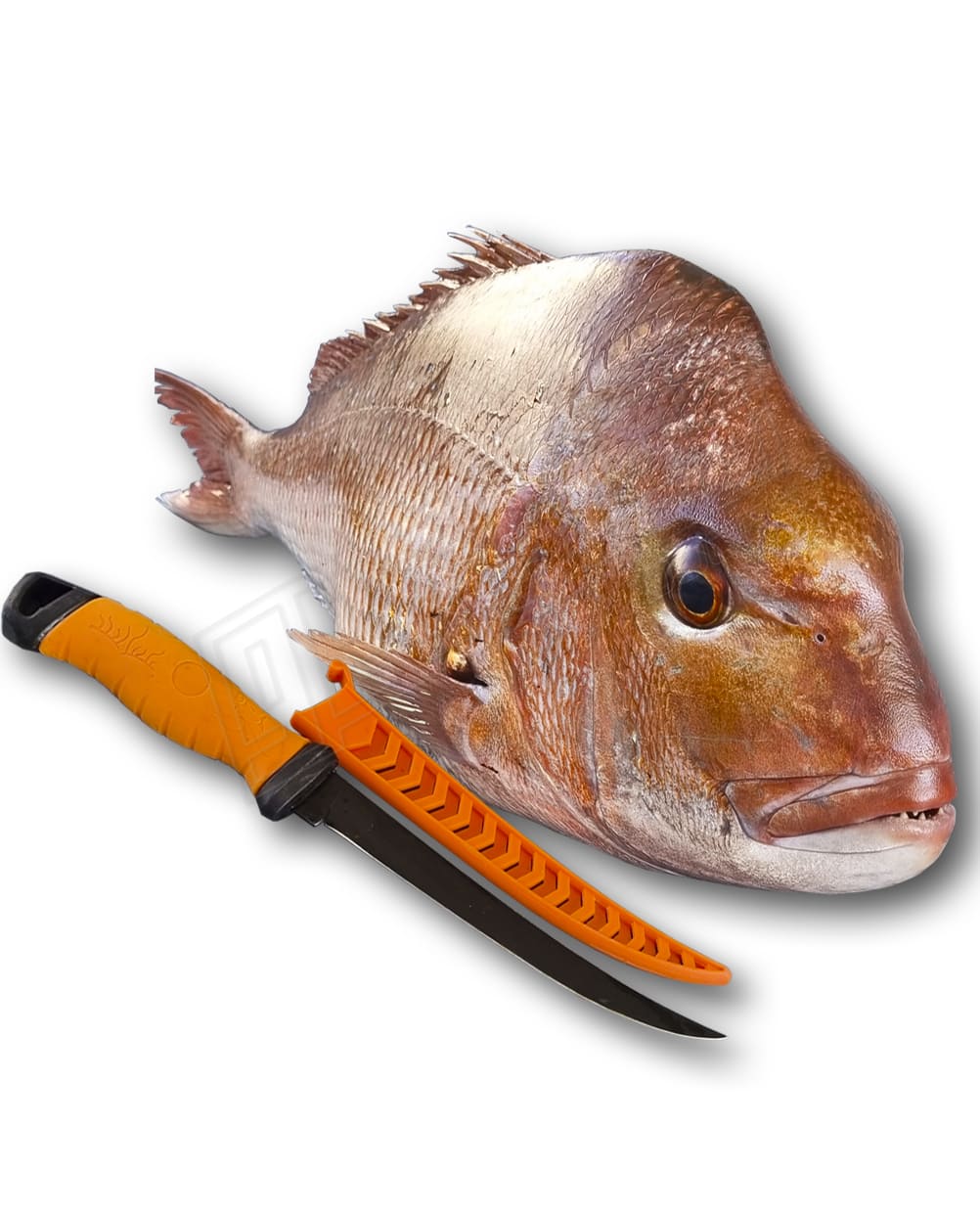 5 Piece Knife And 50kg Scale Kit